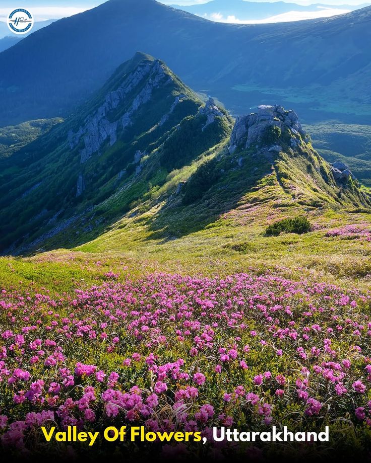 Valley Of Flower
