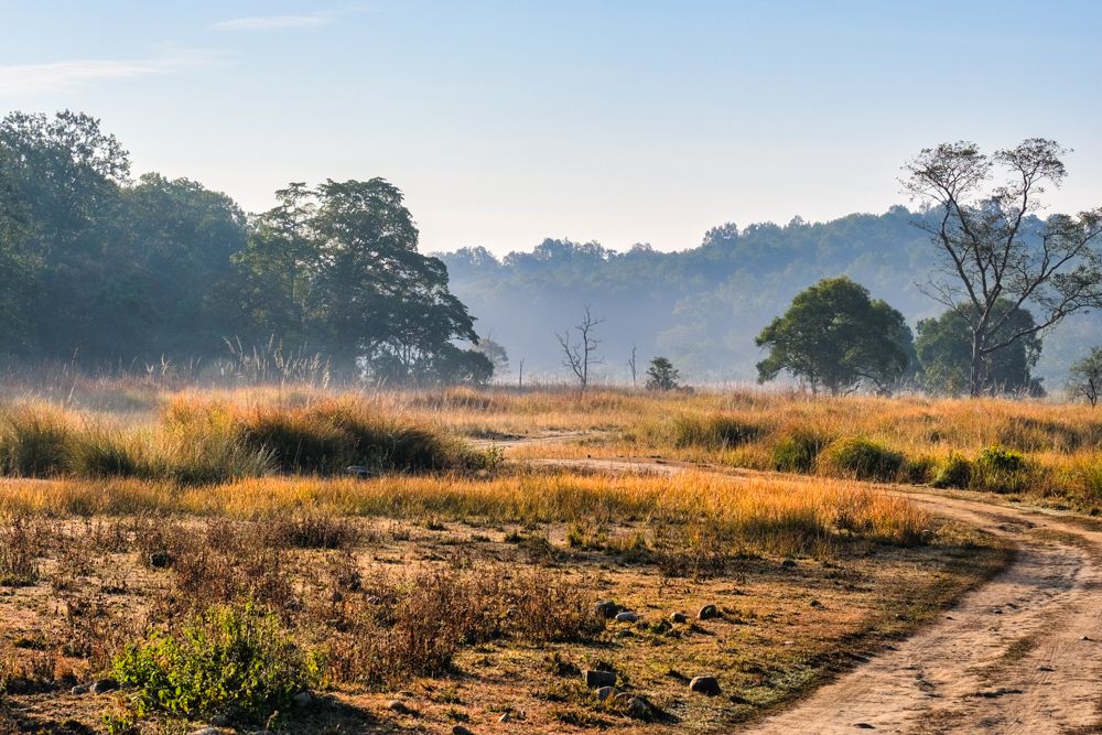 Jim Corbett National Park